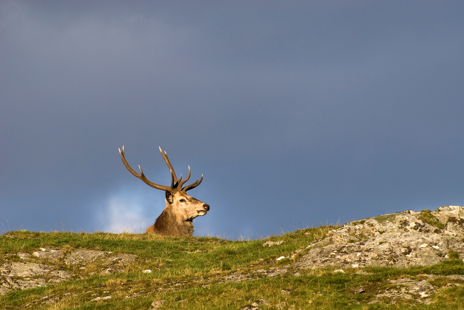 Cairngorms, Highlands, Scotland