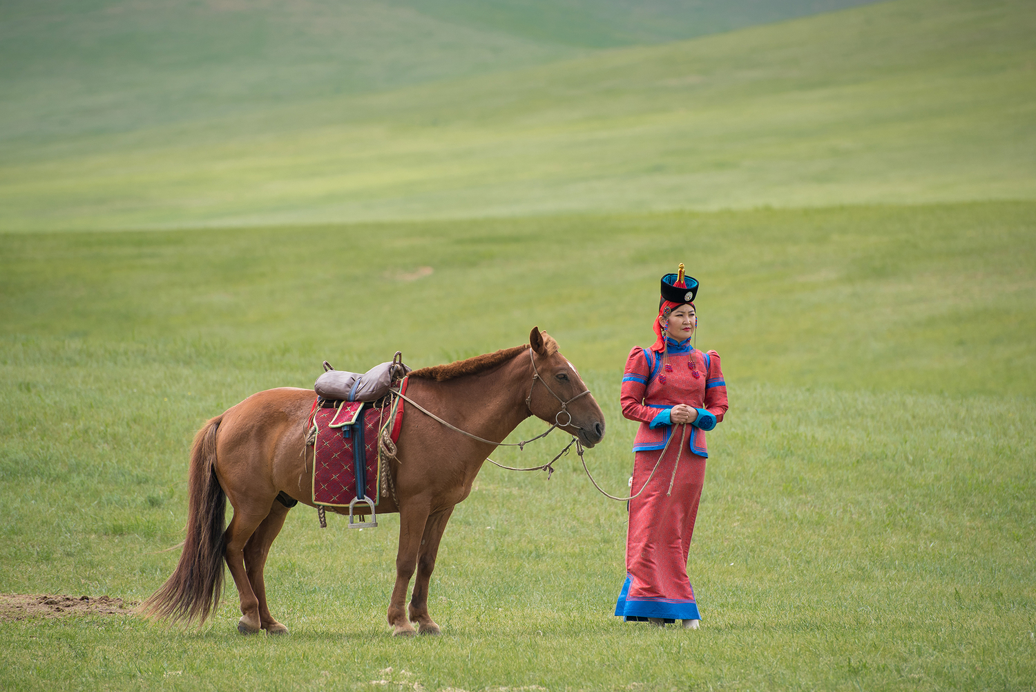 In Search of the Takhi Horses