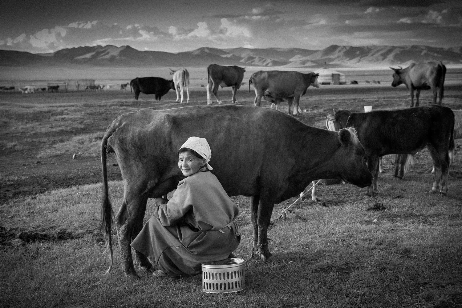 Mongolian Hospitality