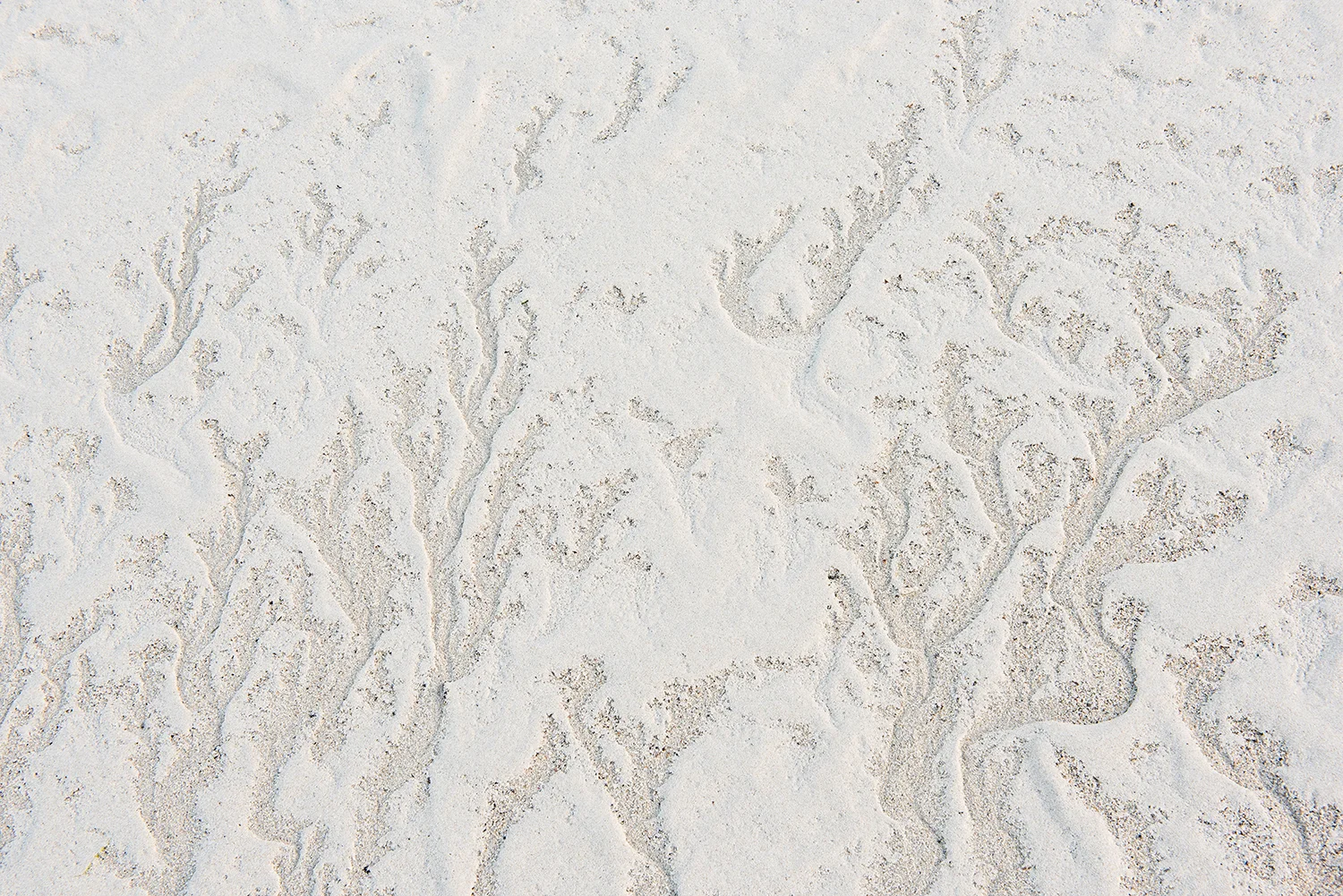 Patterns of Ireland