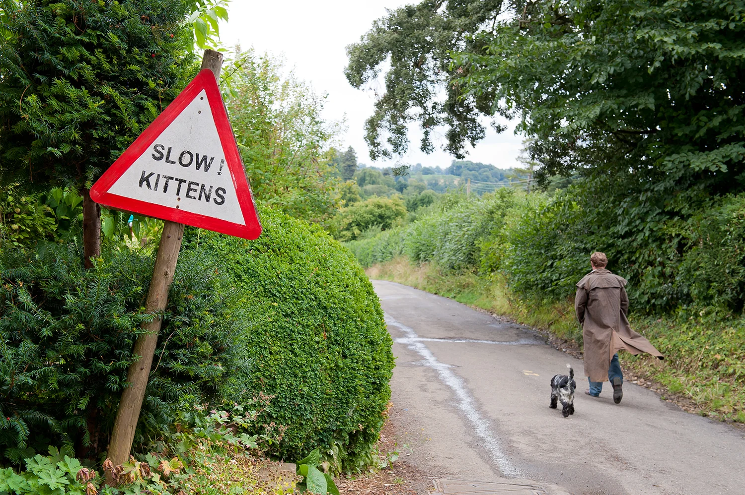 A Walk through the English Countryside