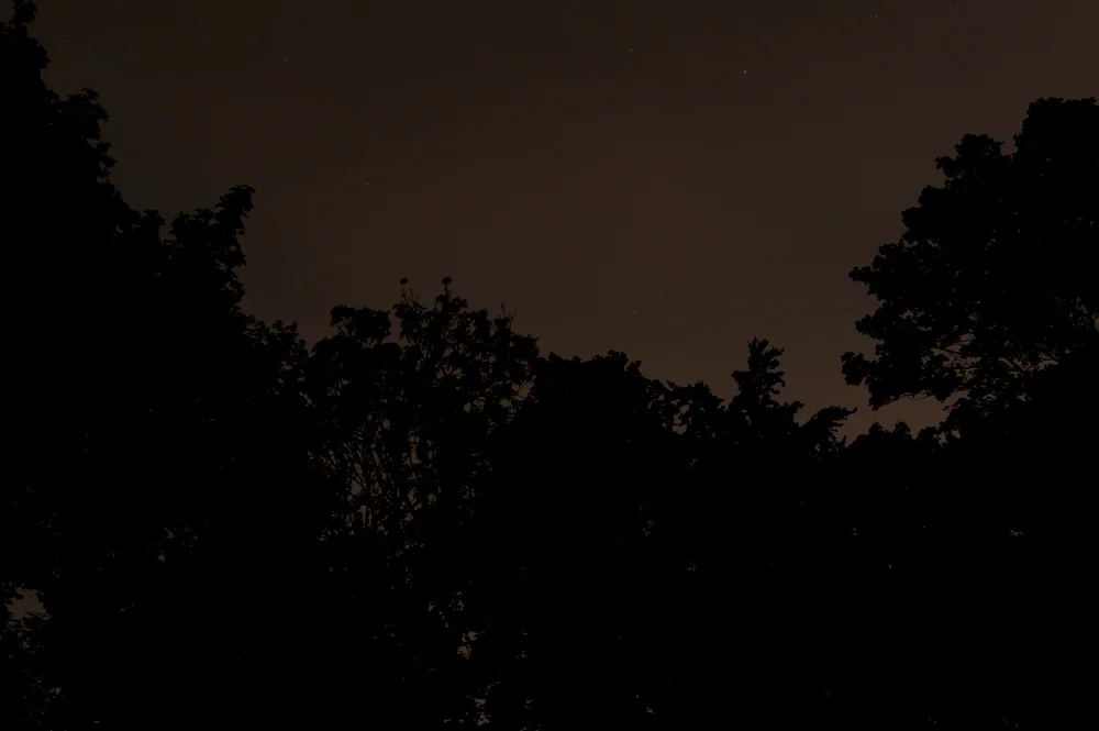 Earth Hour