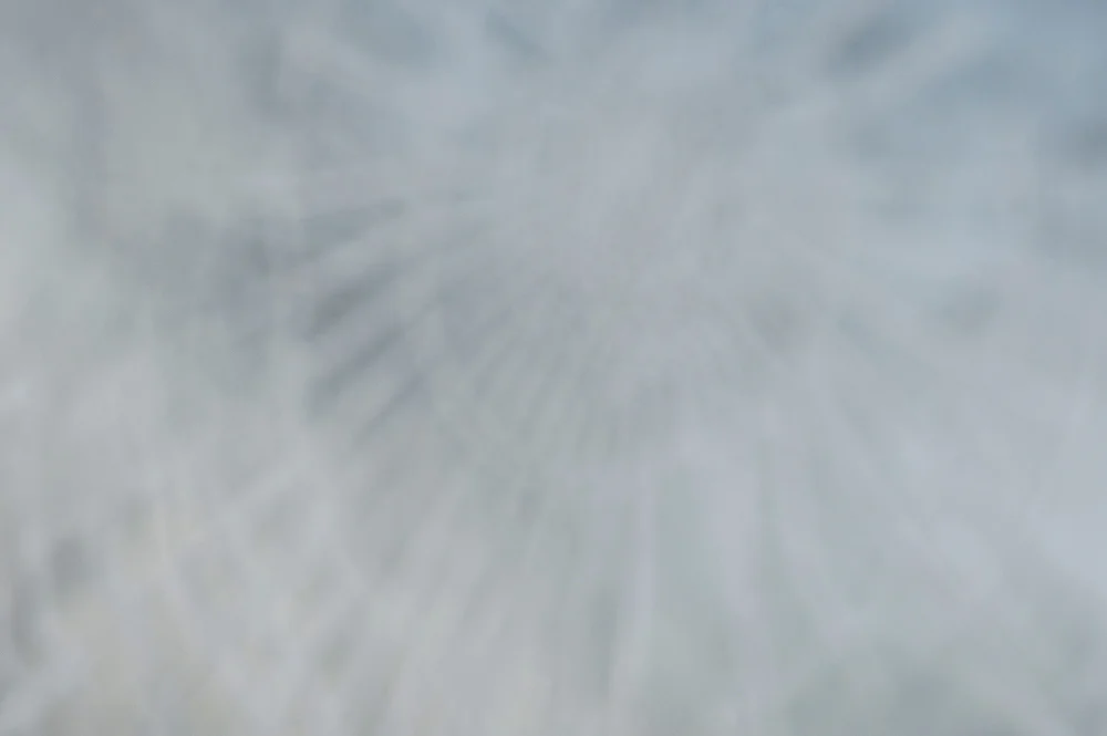 Into the spider's web...