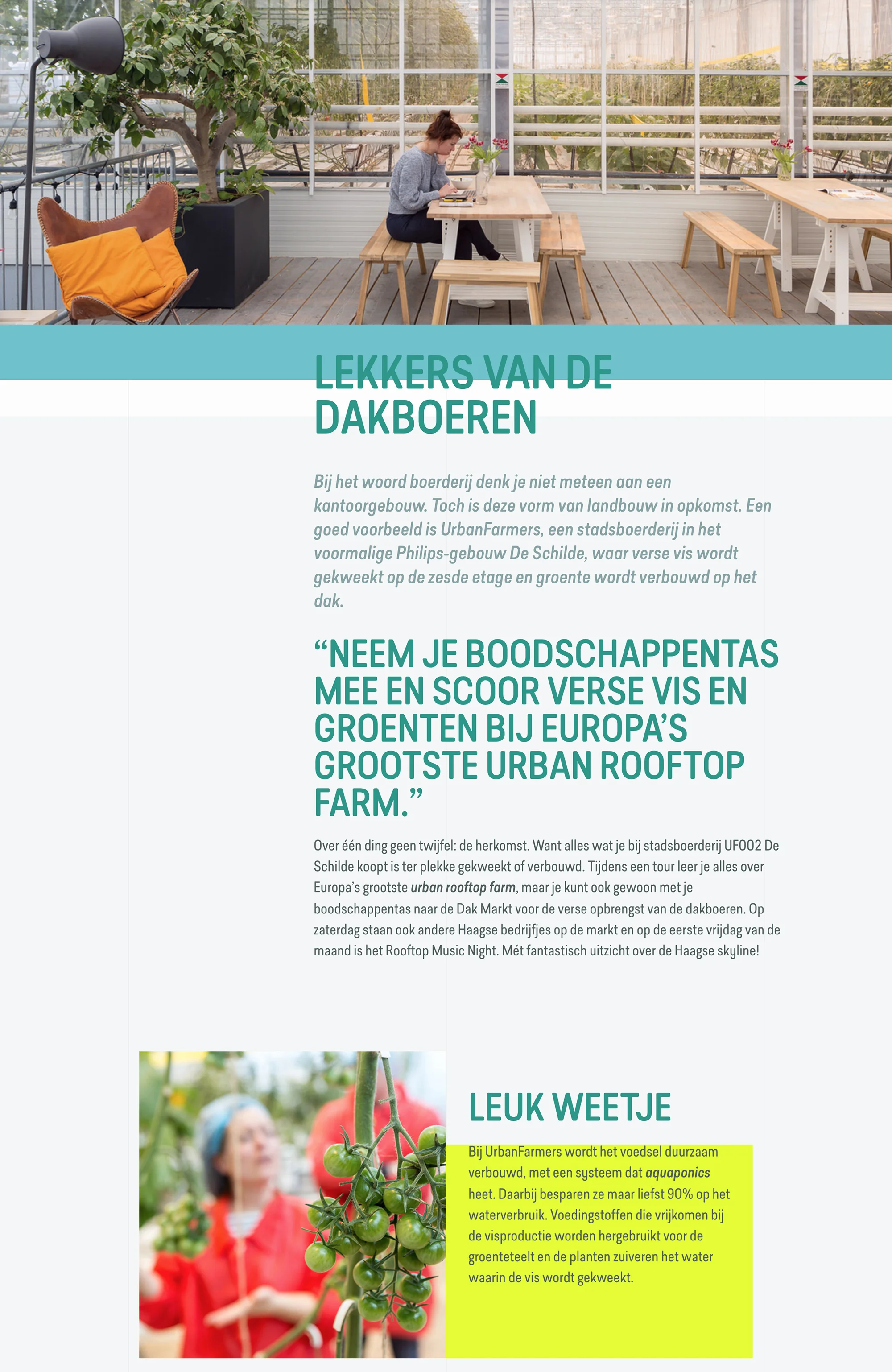 Copy editing and picture editing of visitor tips for Dutch hostel chain Stayokay’s website