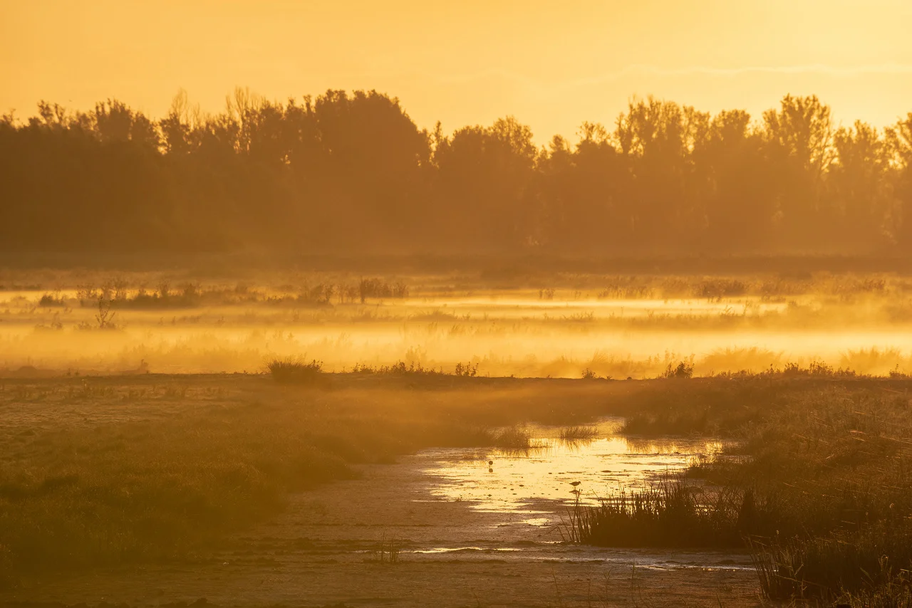 Further Adventures on New Land