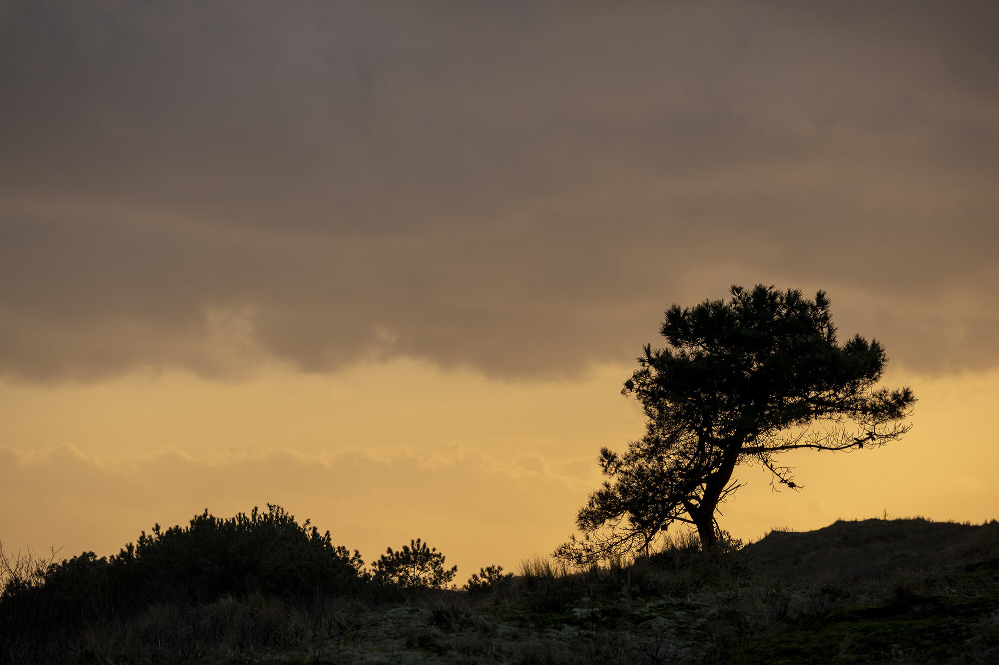 Vlieland, Wadden Islands, Netherlands