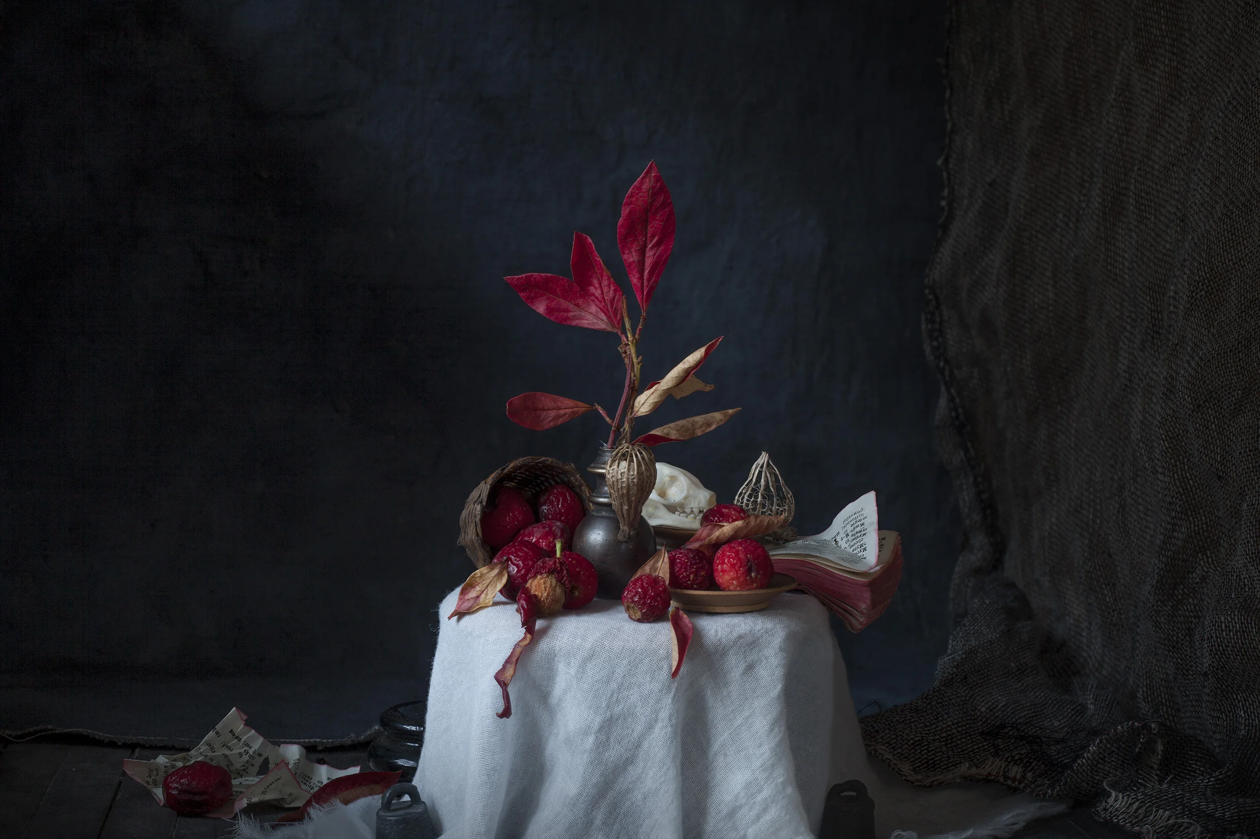 Vanitas X 2017 100 x 66 cm / 45 x 30 cm