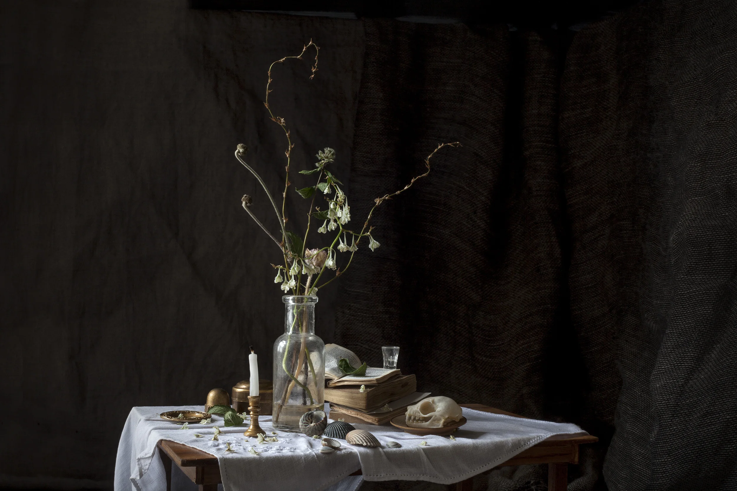 Vanitas IV 2017 100 x 66 cm / 45 x 30 cm