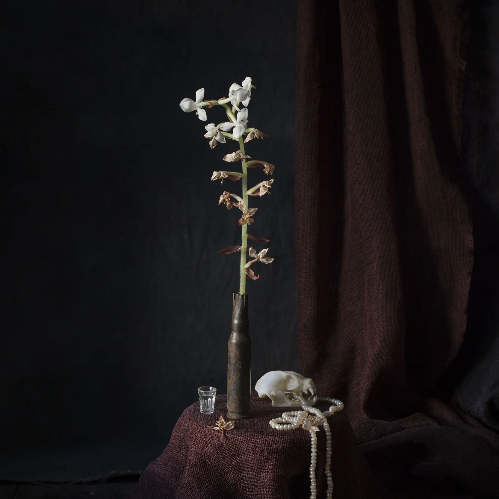 Vanitas XII 2017 66 x 66 cm / 30 x 30 cm
