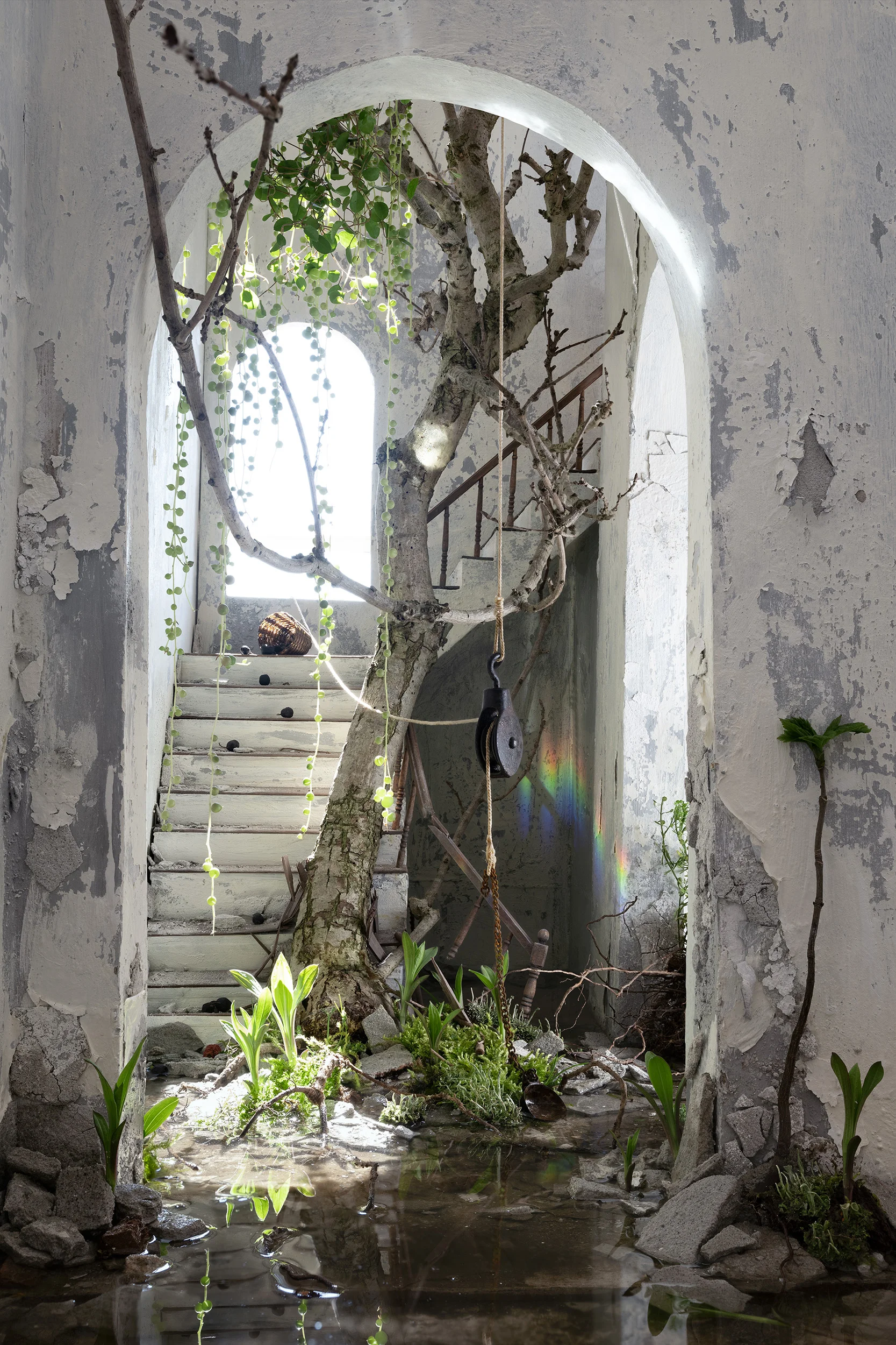 The Tree , 170 x 113 cm