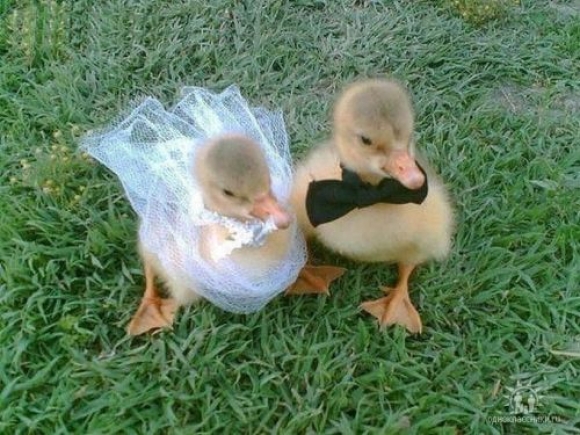 We're still waiting on our wedding photos to come in.