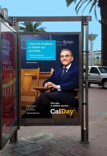 CDbusshelter.jpg