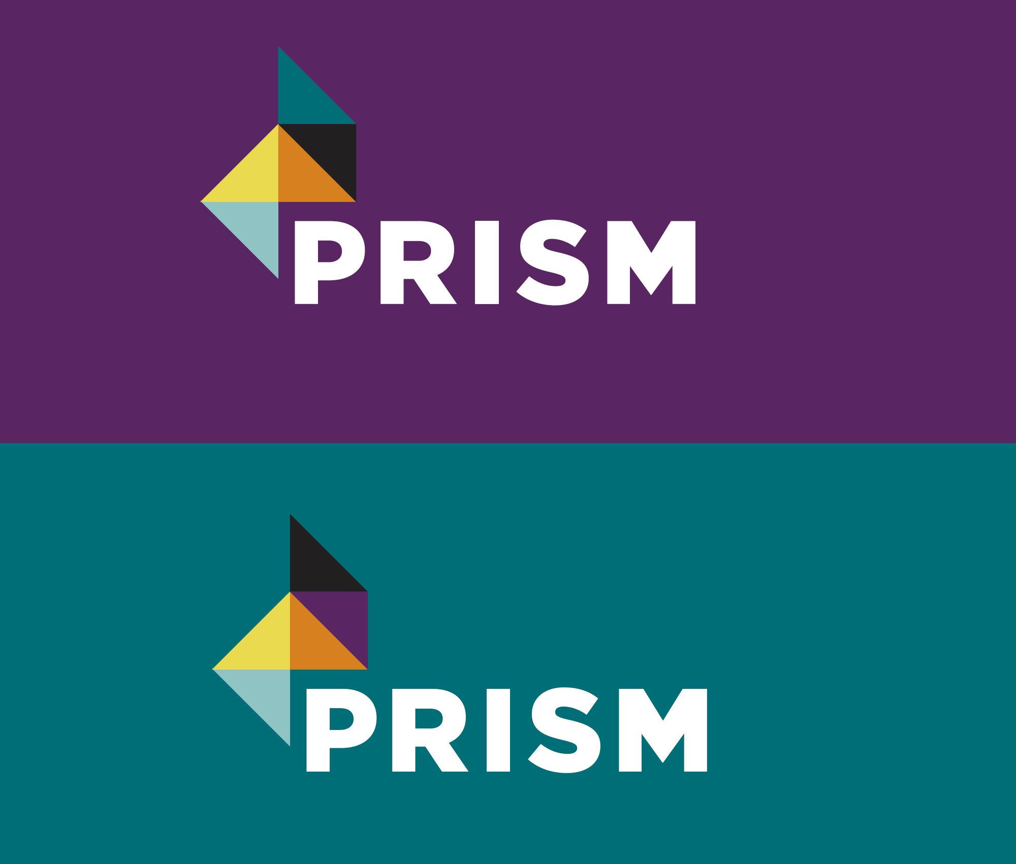 PRISM branding &amp; website design