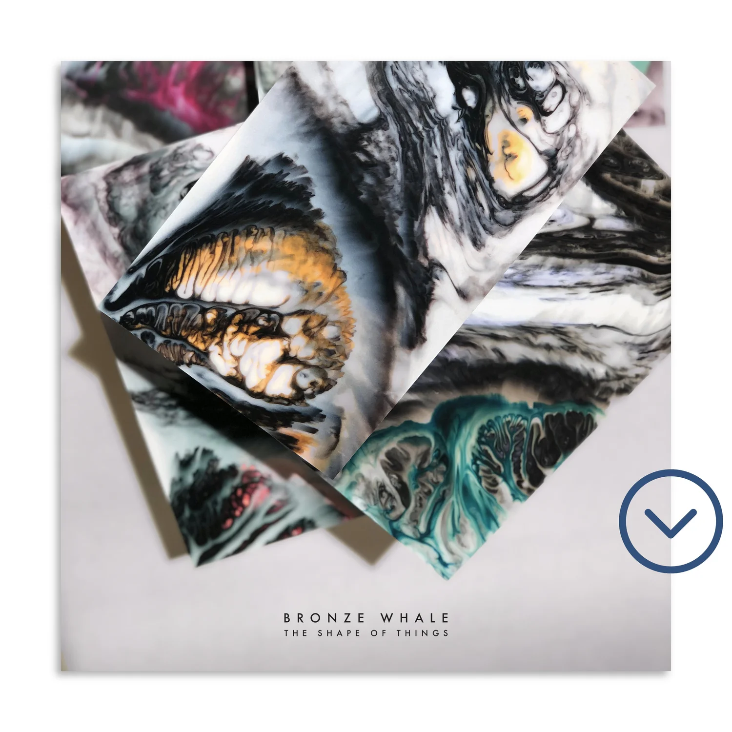 The Shape Of Things LP – MP3 Digital Download — BRONZE WHALE