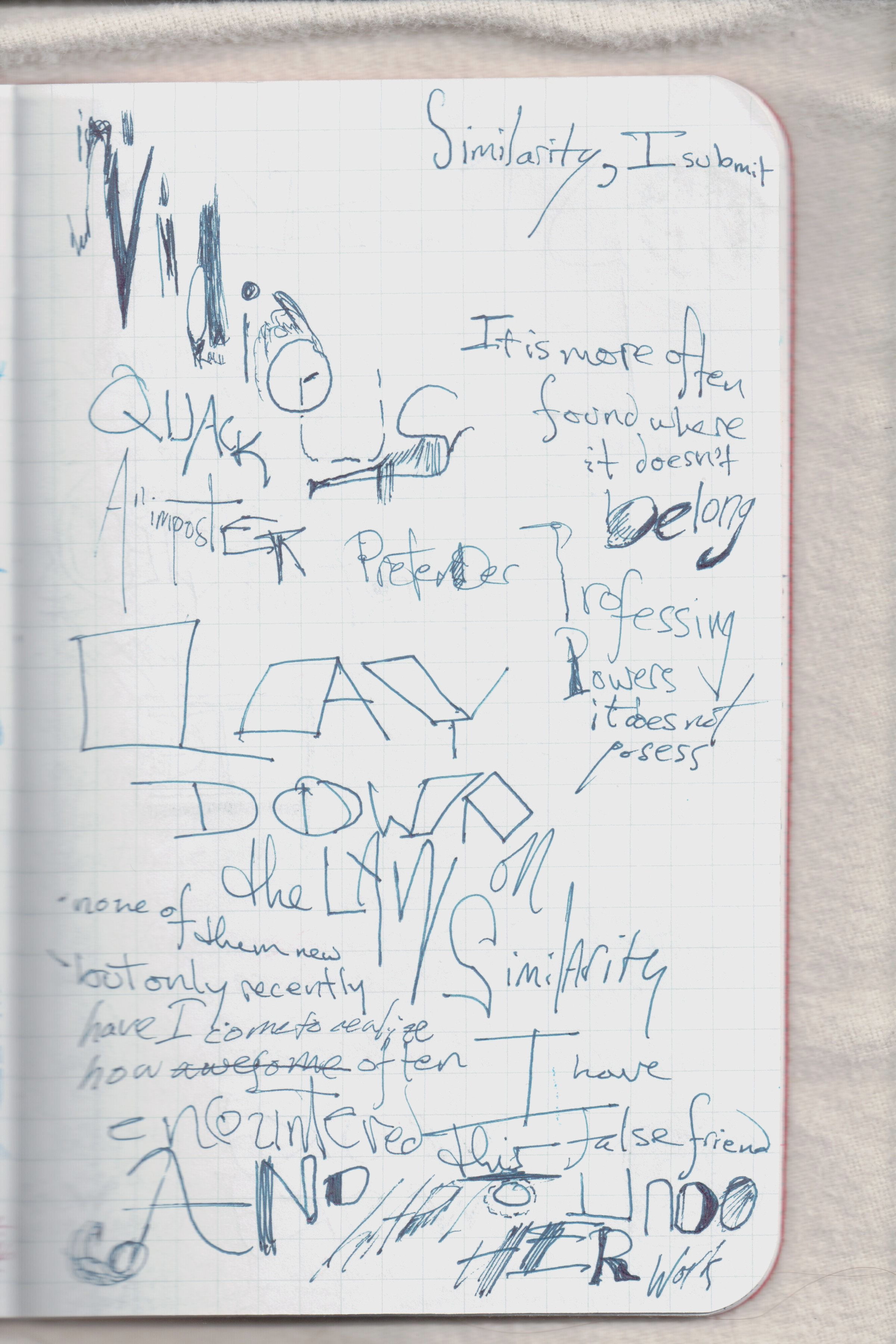 Similarity And its Discontents 24.jpg