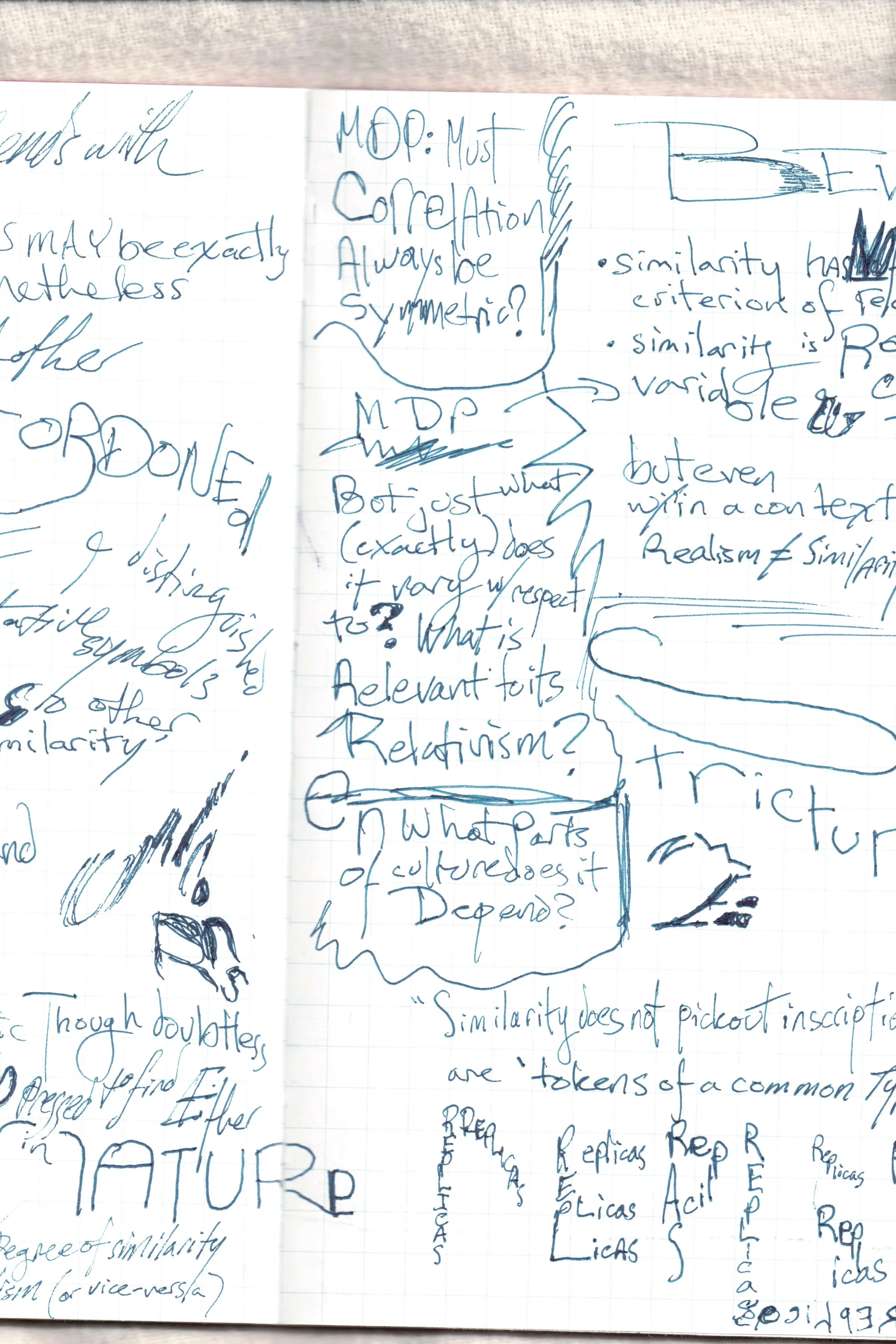 Similarity And its Discontents 34.jpg