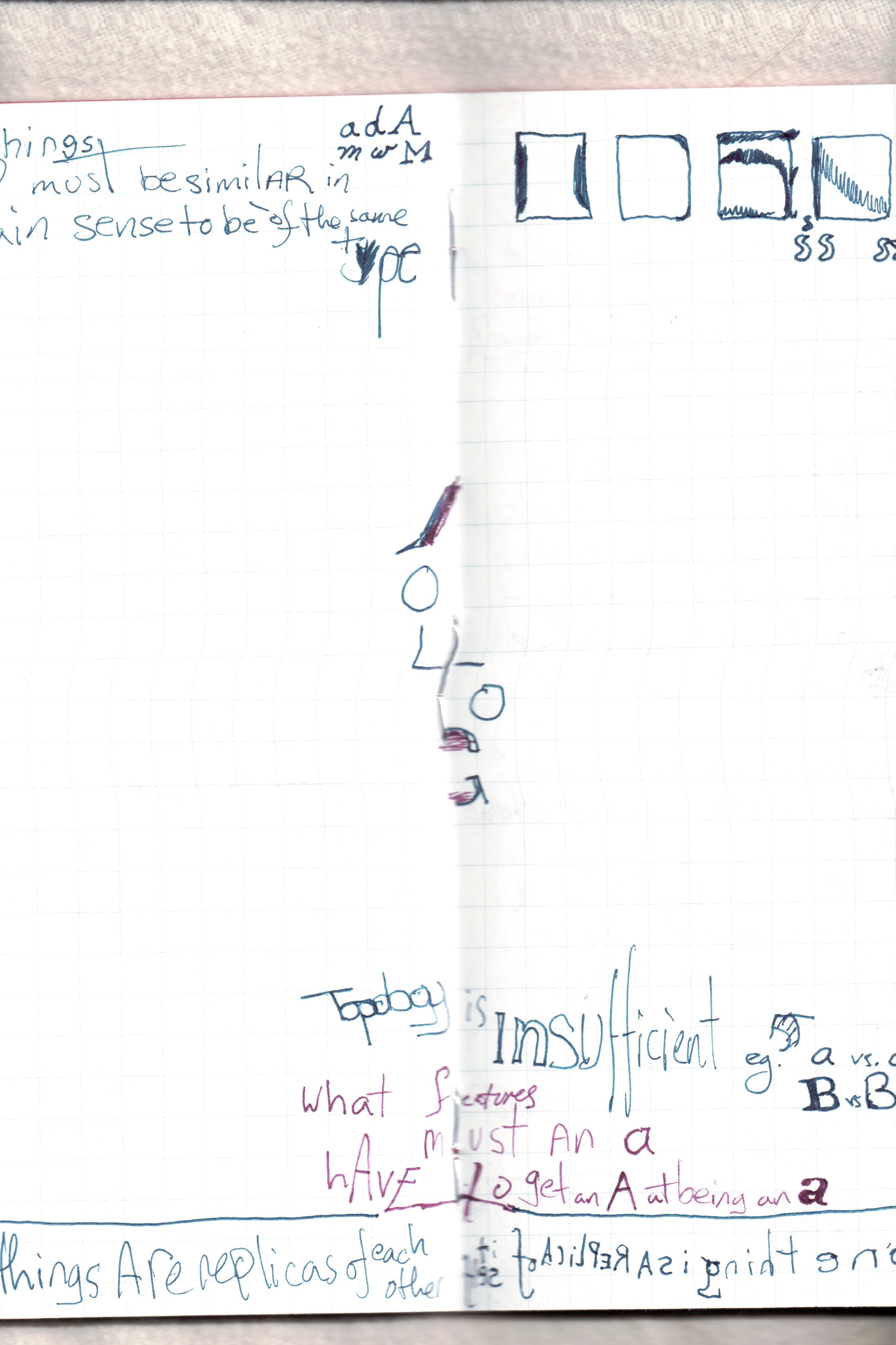 Similarity And its Discontents 40.jpg