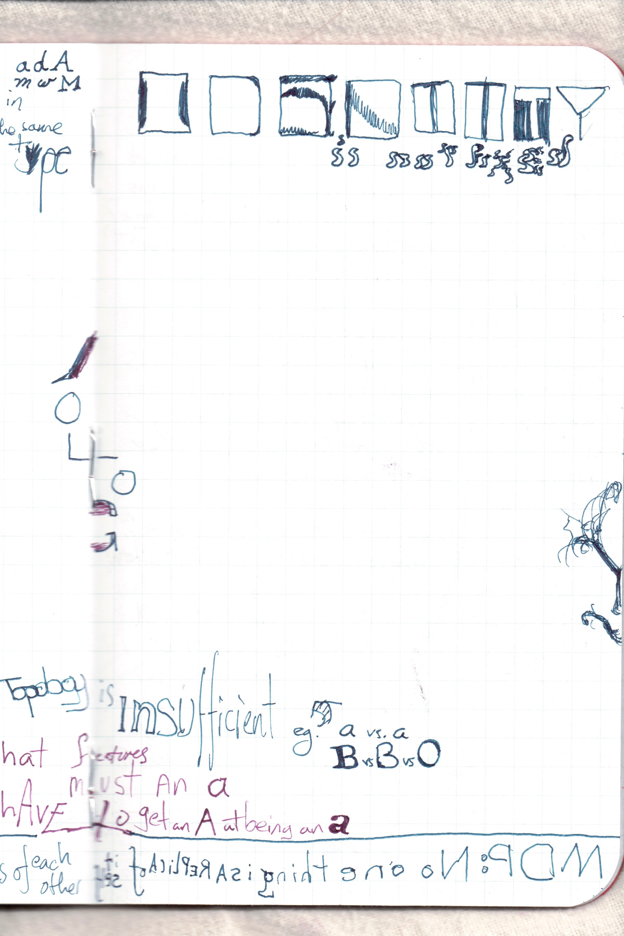 Similarity And its Discontents 42.jpg