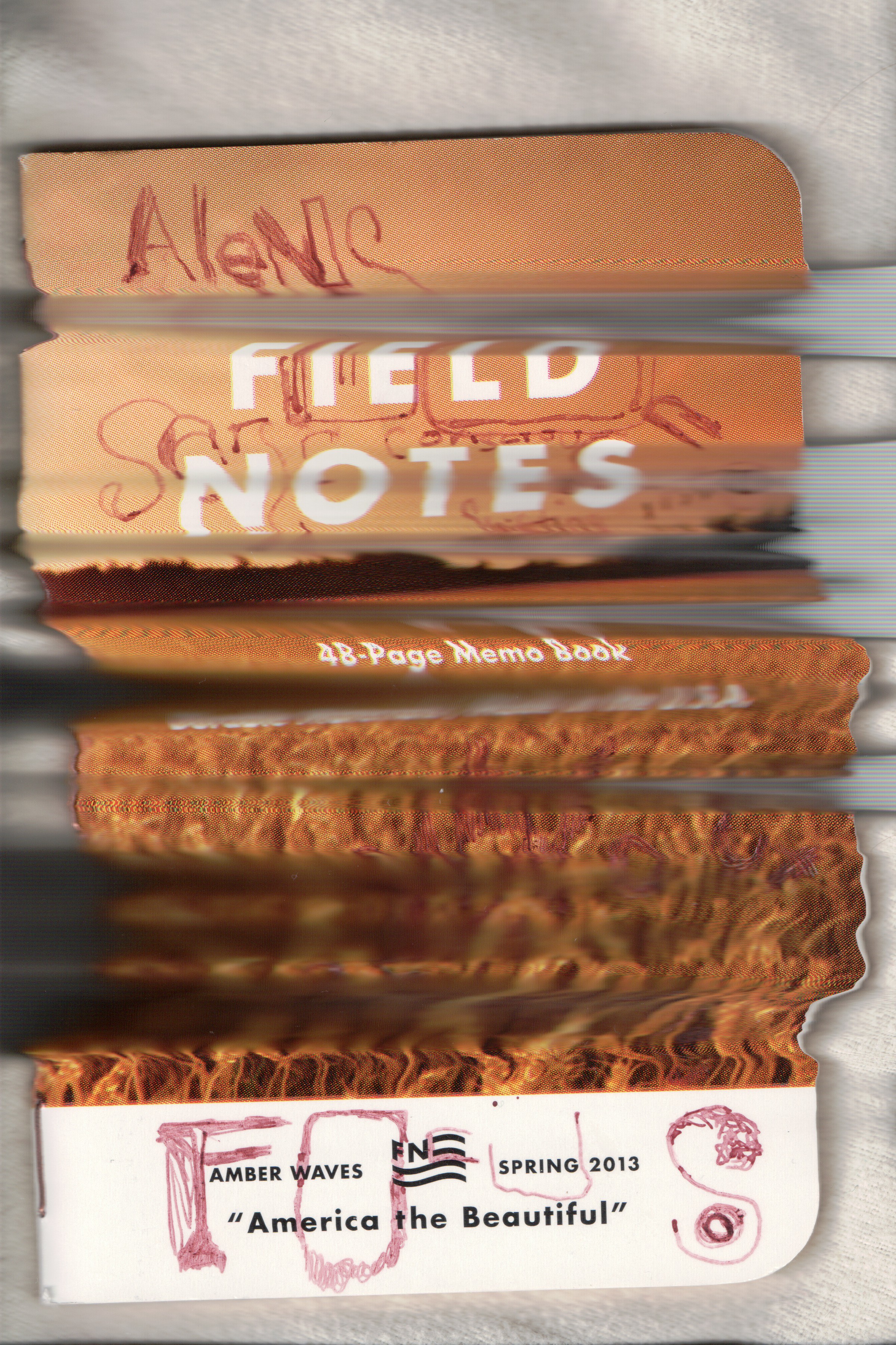A lens Shifting into focus 03.jpg