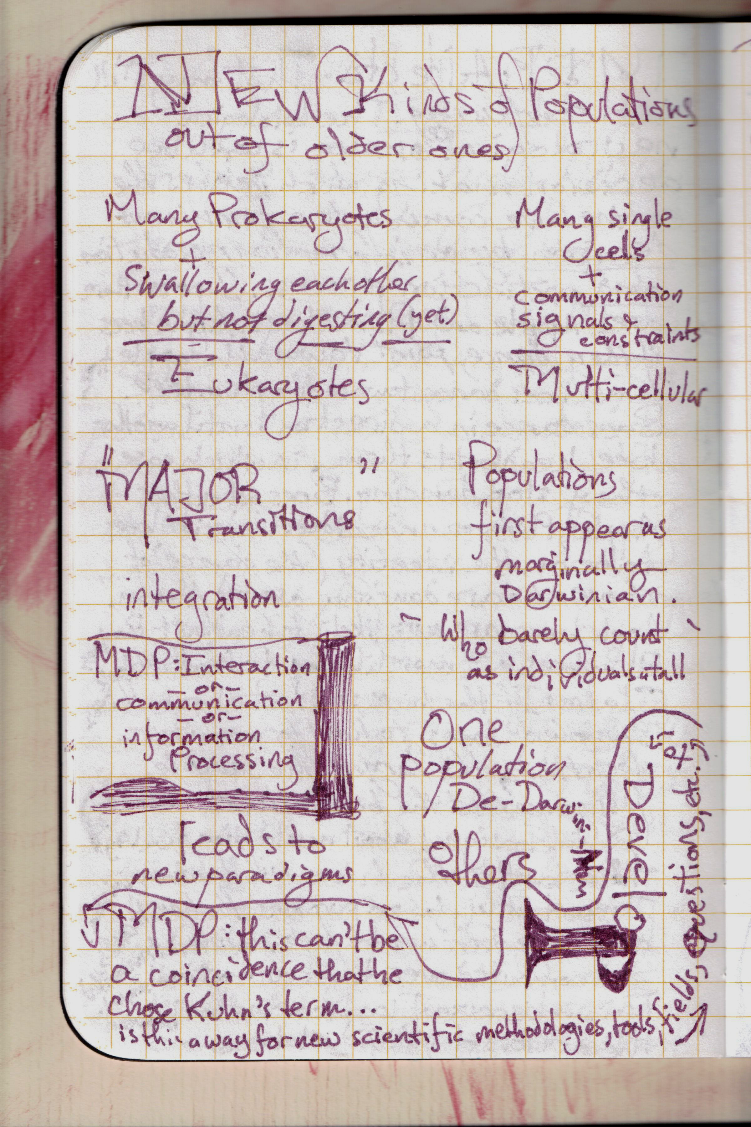 The origins and what followed 17.png