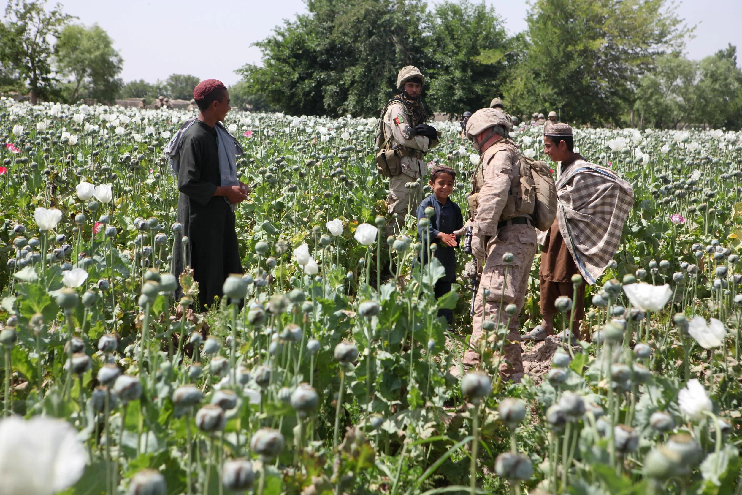 Photo by ISAF Headquarters Public Affairs Office CC BY 3.0 US 