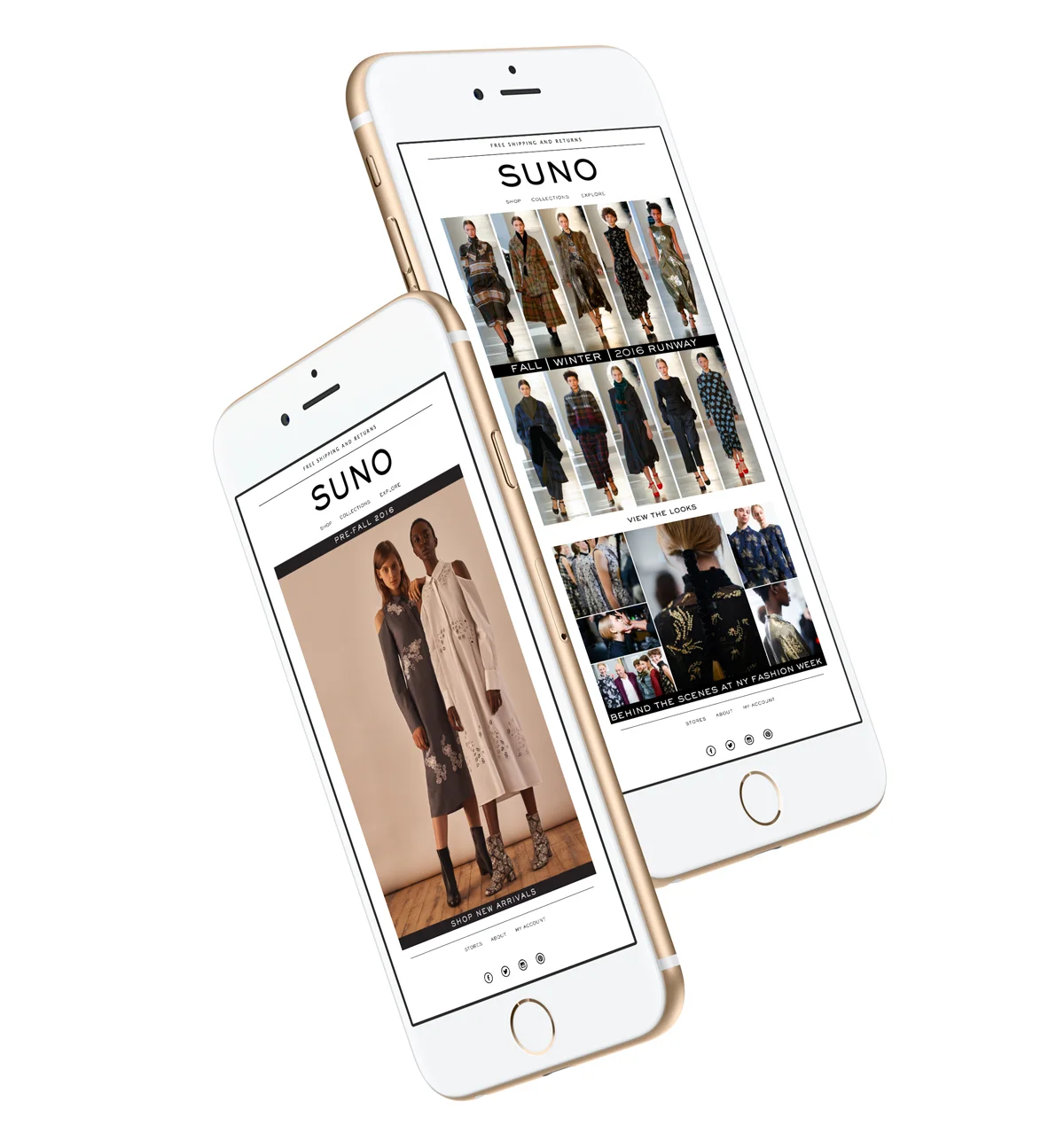 suno-6.jpg