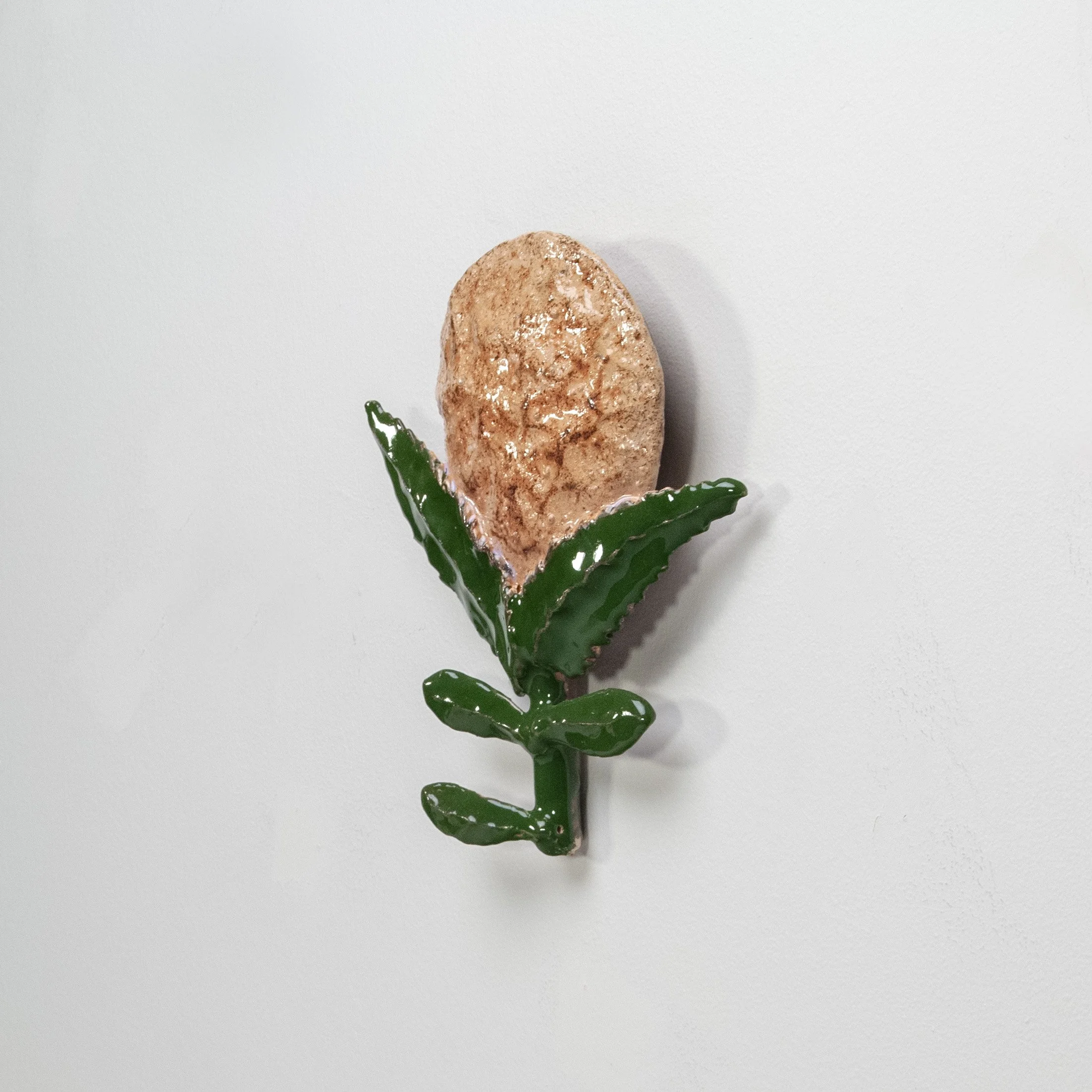 Peach Bloom-Wall Flower 5B_2024.jpg