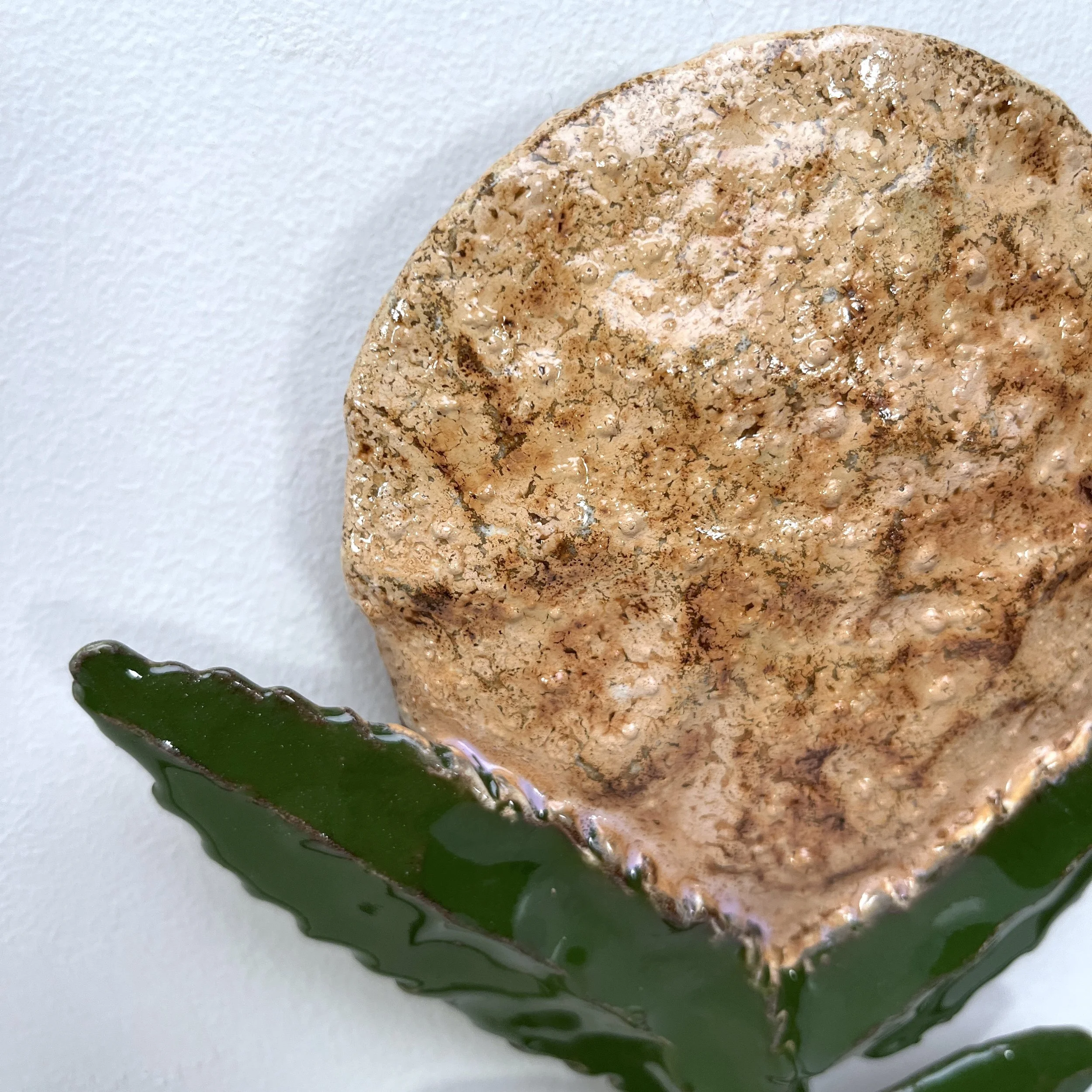 Peach Bloom-Wall Flower 5C_2024.jpg