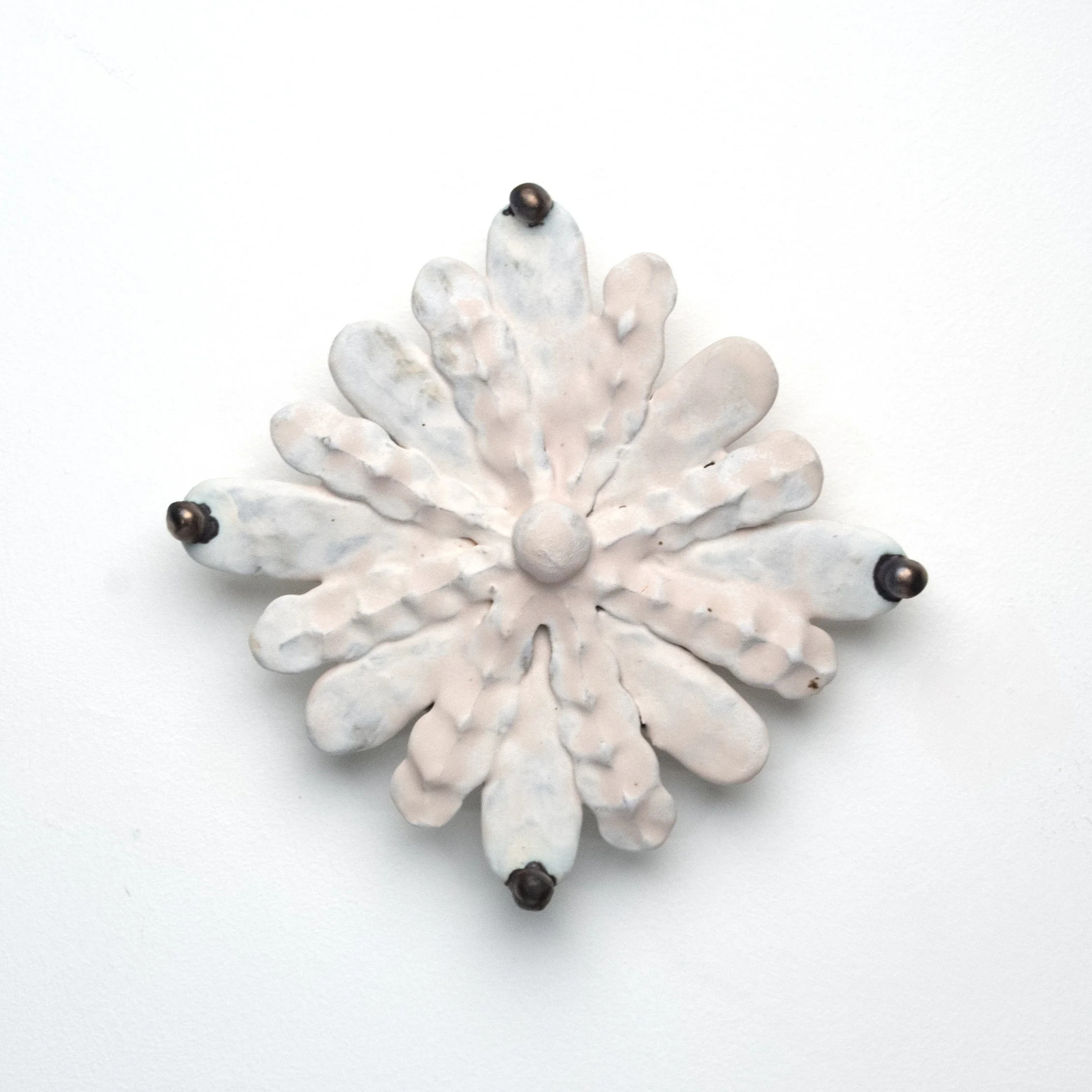 Morning Star_2024.jpg