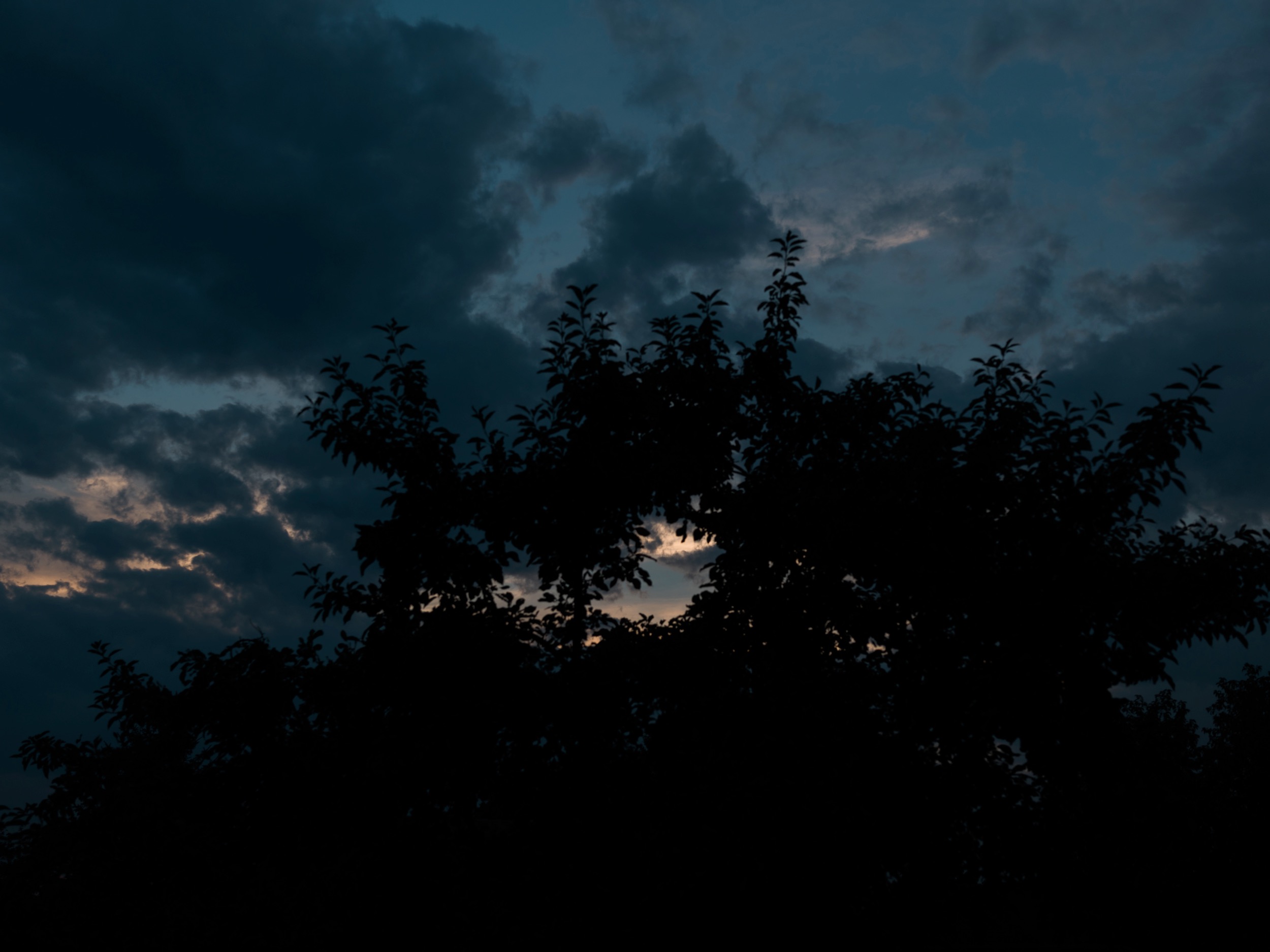  I love using spot metering to expose for the evening sky and capturing anything in the foreground as a silhouette.&nbsp; 