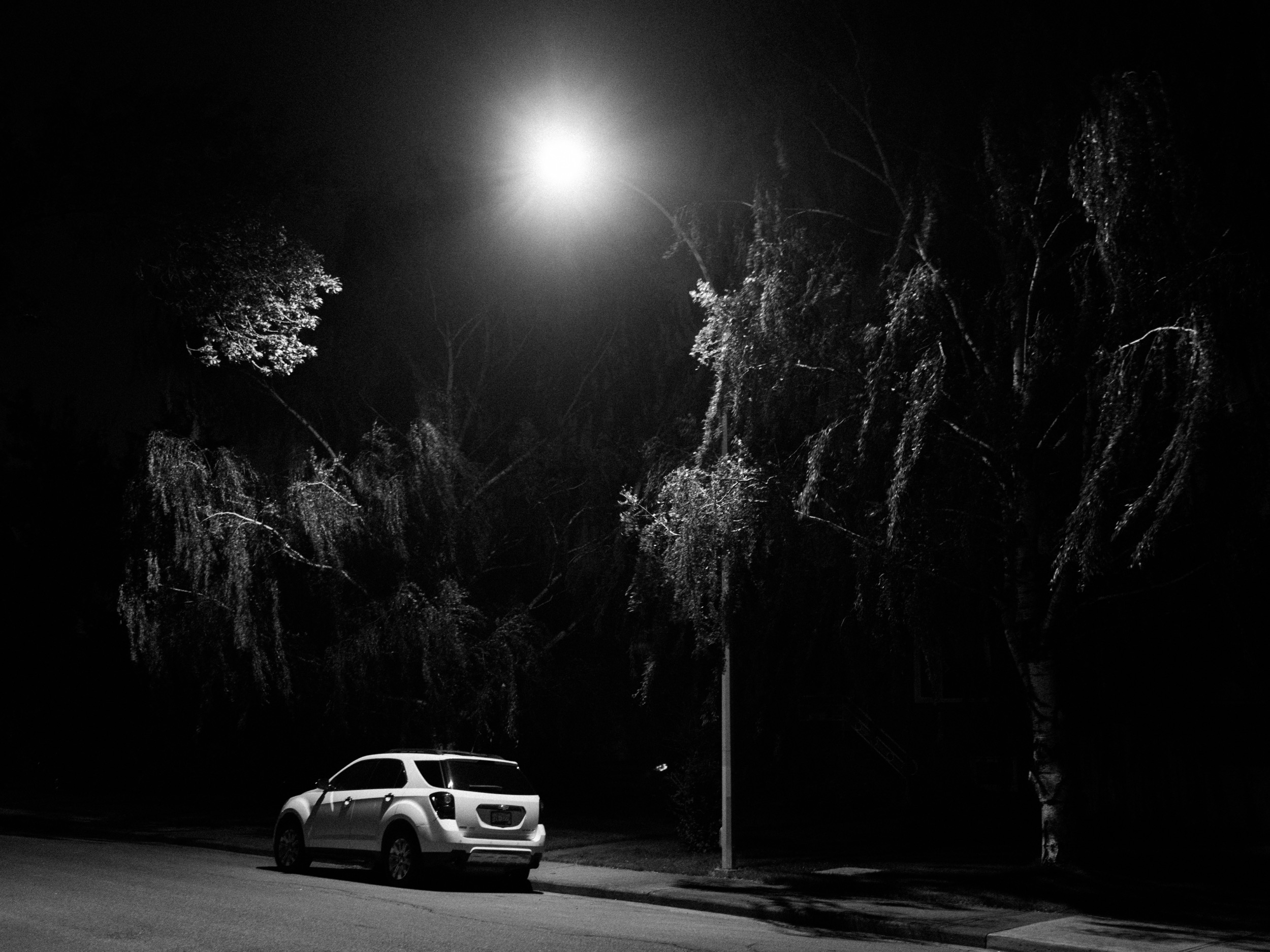  I was happy with the simplified subject matter of this photo. It's a photo of willows, a streetlight, and a car. I always wonder how photos with contemporary cars will age though. Will these cars look classic in a few decades?&nbsp; 