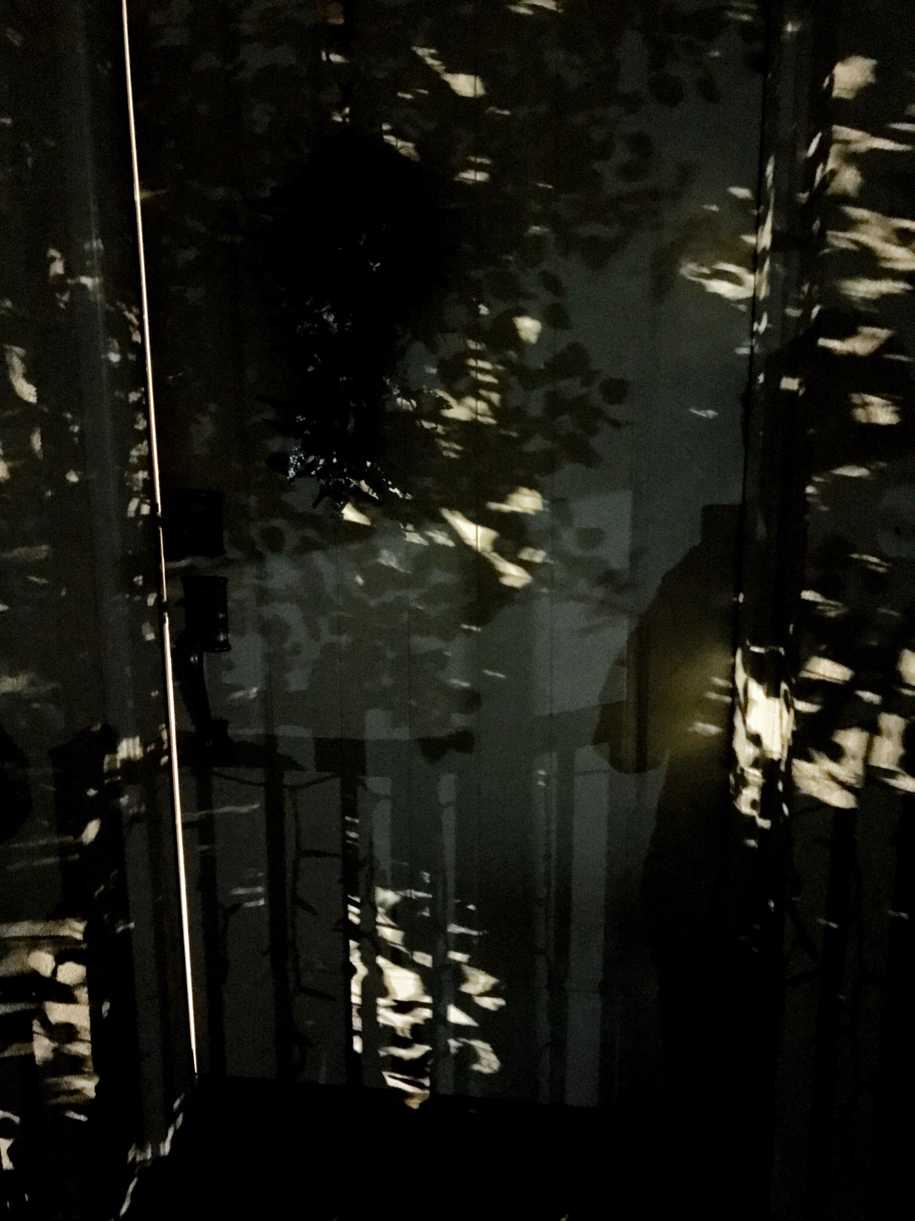 I liked the multiple layers and patterns in this scene. There's the door frame, the tree shadows, the tree highlights, and the faint shadows from a distant streetlight. 