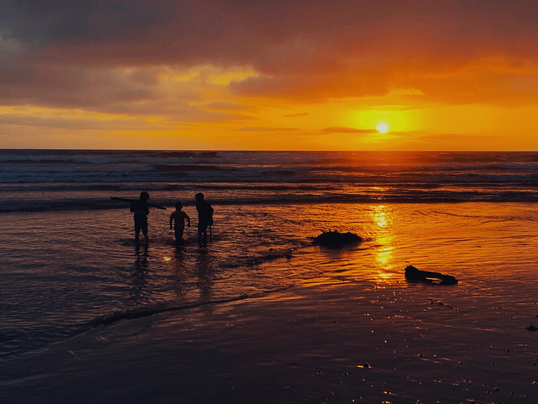  A road trip up the California coast starting at Laguna Beach and ending at San Francisco. All photos taken on iPhone XS. May 2019.  