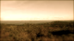 Transient