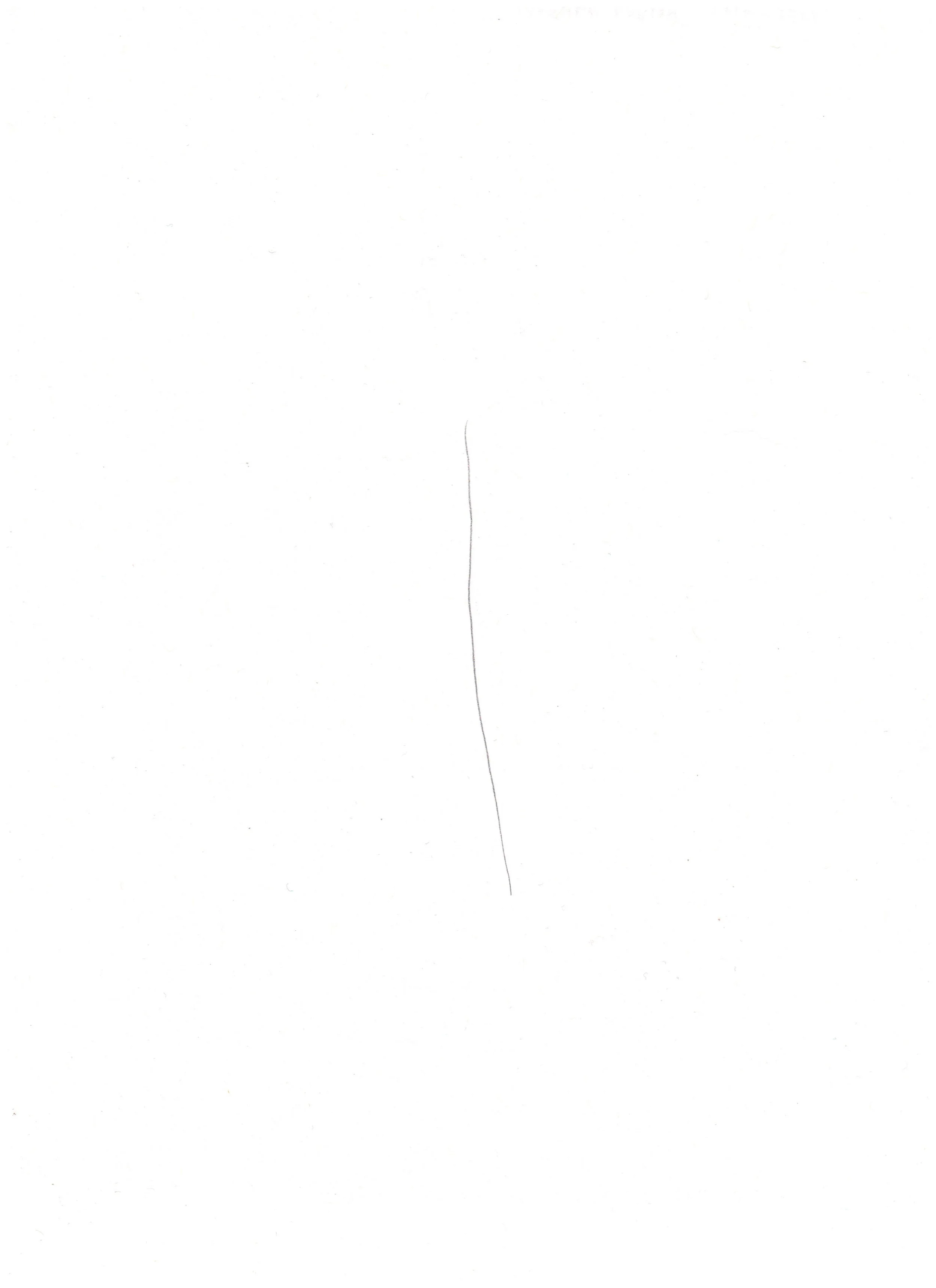 Timeline 14