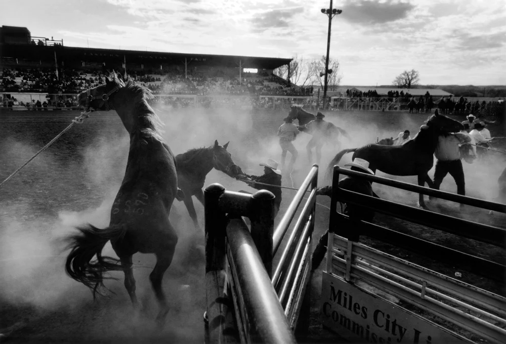 mc_bucking-horses_actions_01.jpg