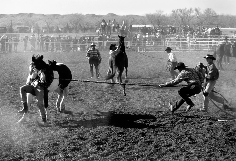 mc_bucking-horses_actions_04.jpg