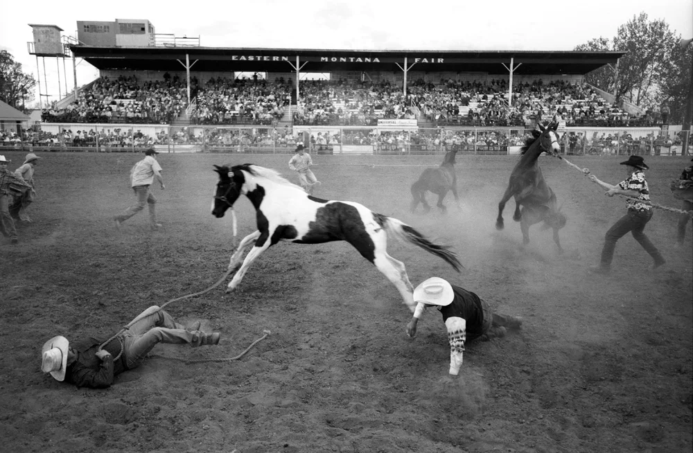 mc_bucking-horses_actions_05.jpg