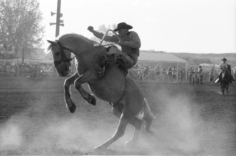 mc_bucking-horses_actions_07.jpg