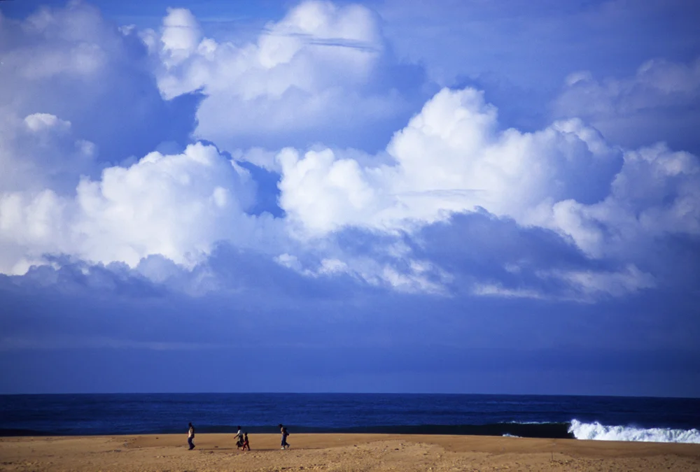 mc_rumor-from-monrovia_color_08.jpg