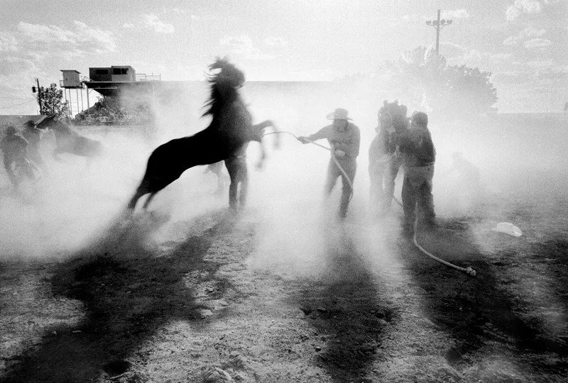 shadow-dust-leap-2012_edited.jpg
