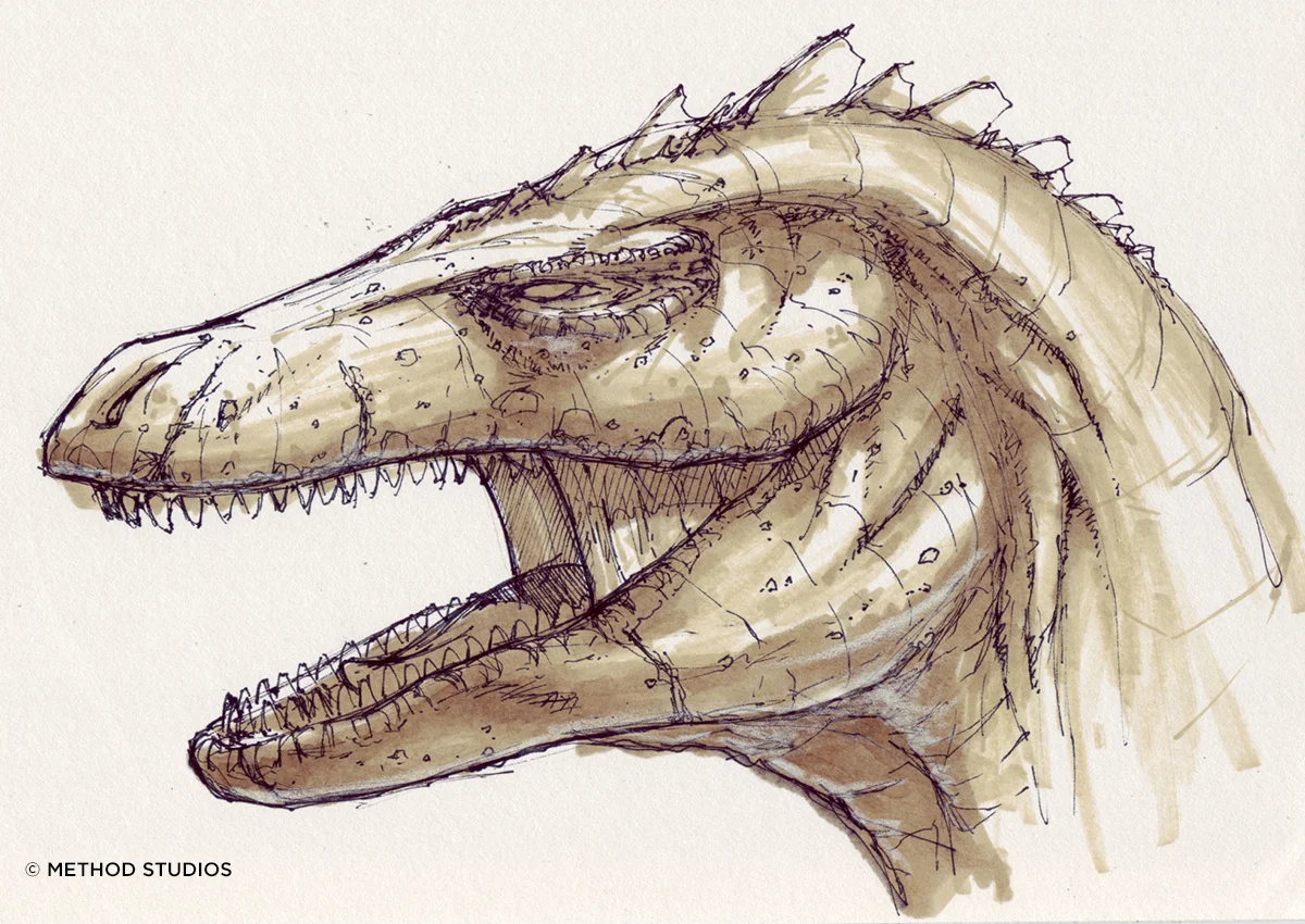 Sketch of the head. This was leaning too heavily on the dinosaur side.