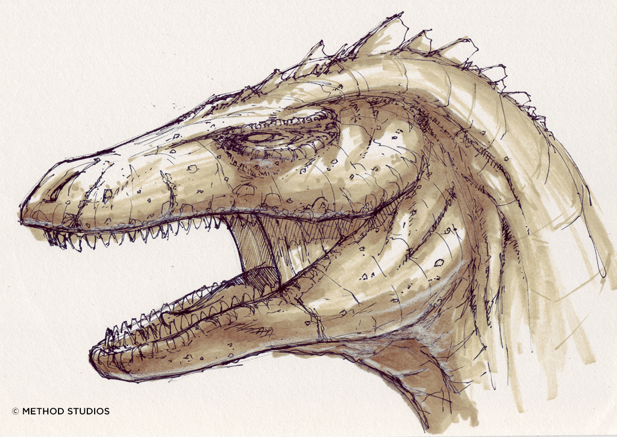Sketch of the head. This was leaning too heavily on the dinosaur side.