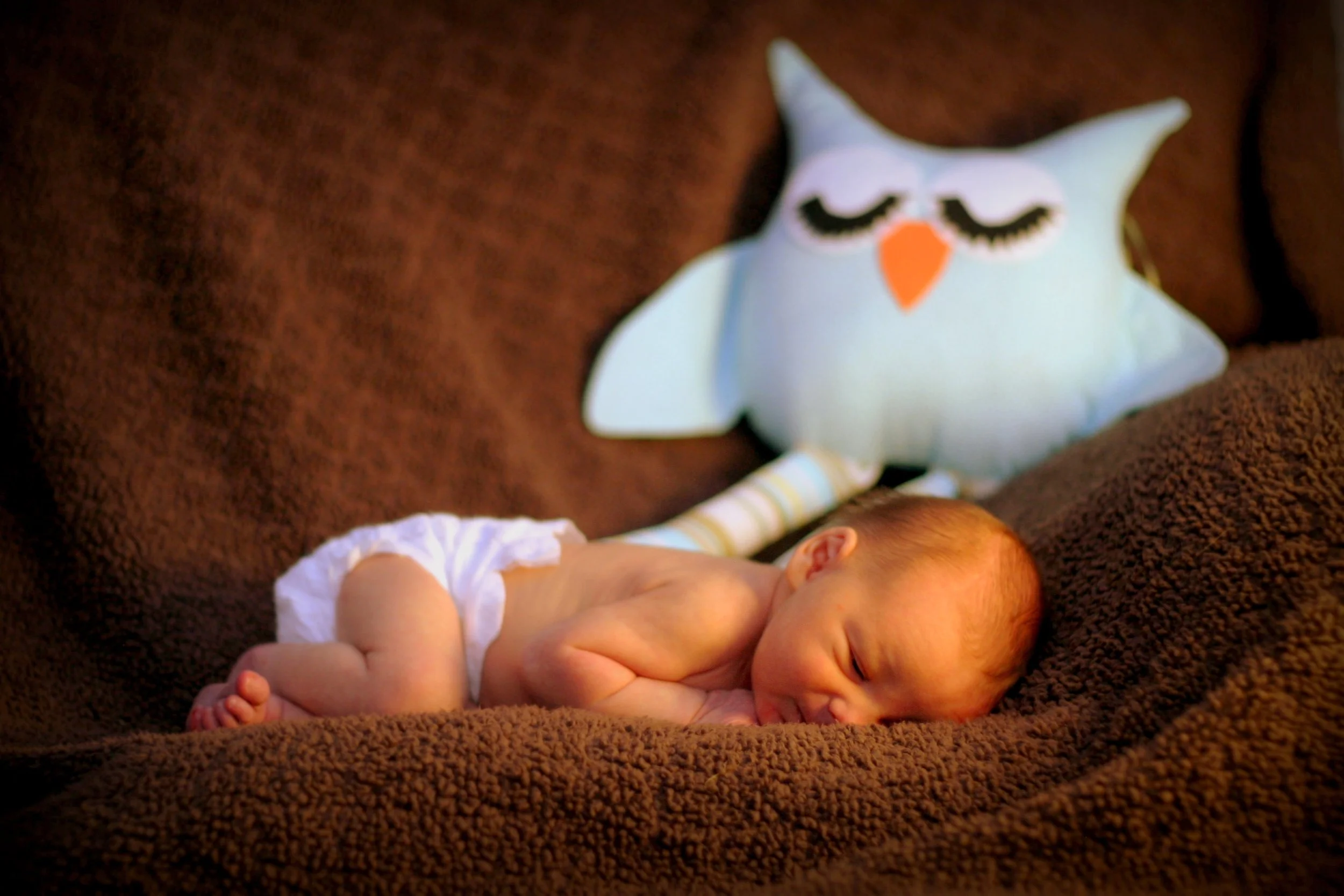IMG_5815cprint.jpg