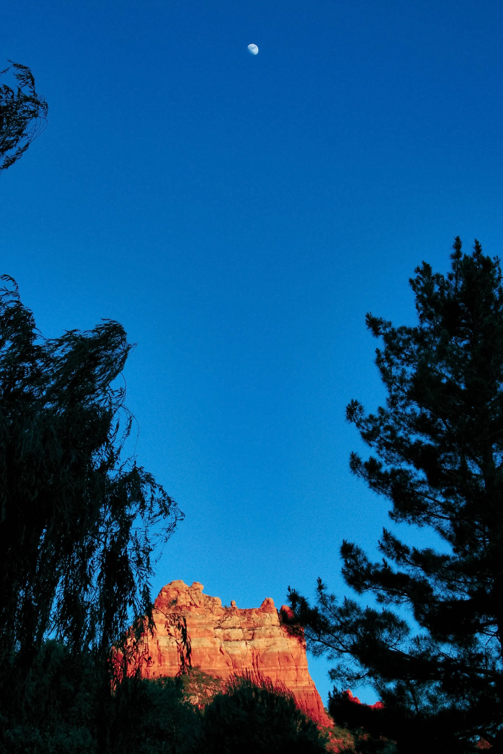 IMG_8660-Edit.jpg