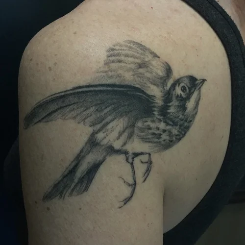 Tattoo by David Allen