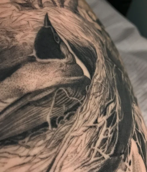 Tattoo by David Allen
