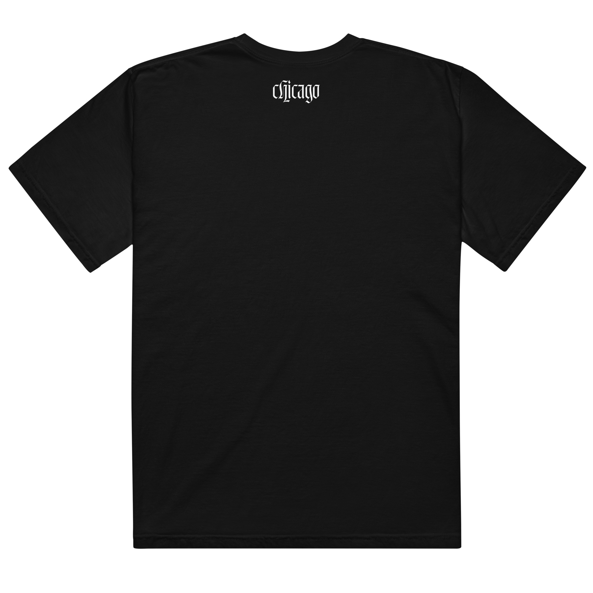 unisex-garment-dyed-heavyweight-t-shirt-black-back-671e809ef22c6.png