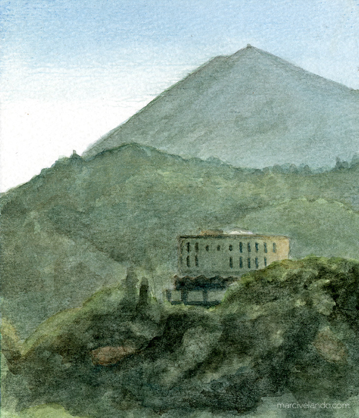 mttam.jpg
