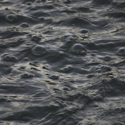 rain-water.jpg